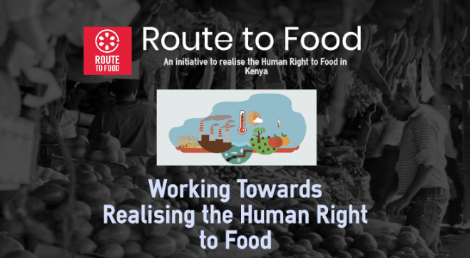 human right to food in kenya